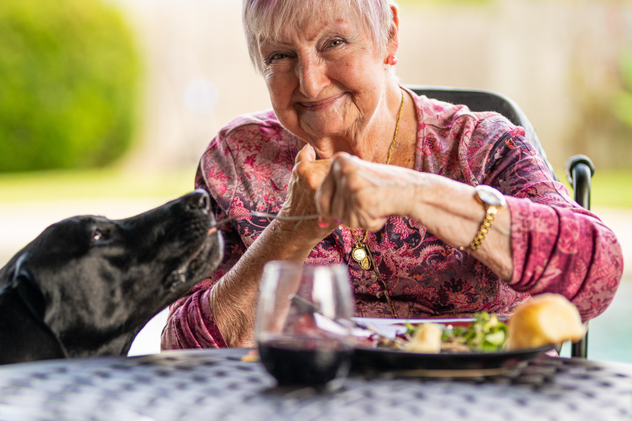 Möglichst lange zuhause wohnen, das wünschen sich alle Seniorinnen und Senioren. Wenn das nicht mehr möglich ist, beginnt die schwierige Suche nach einer Einrichtung.